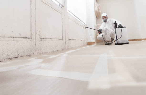 24/7 Emergency Mold Remediation experts in Franklinton, NC